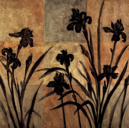 Iris Silhouette II by T.L. Lange art print