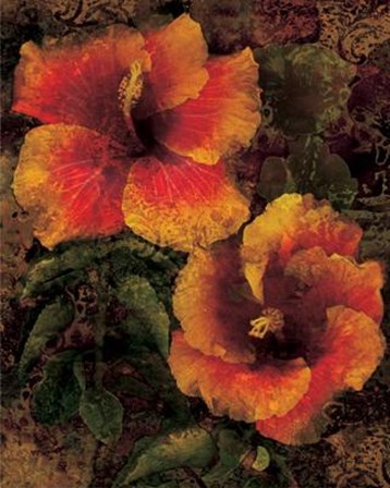 Hibiscus I by John Seba art print