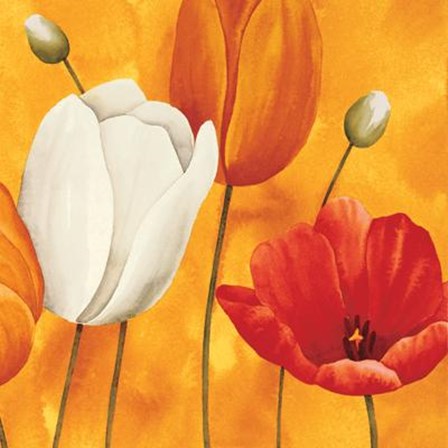 Festa Di Tulipani by Maria Grazia Luffarelli art print