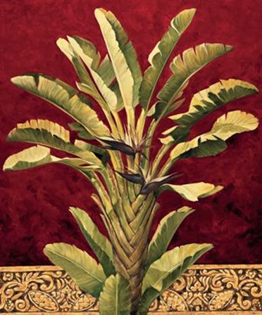 Traveler&#39;s Palm by Rodolfo Jimenez art print