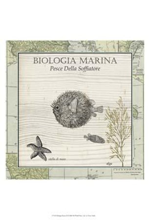 Biologia Marina II art print