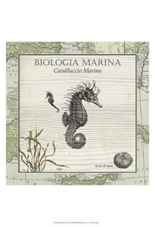 Biologia Marina III art print