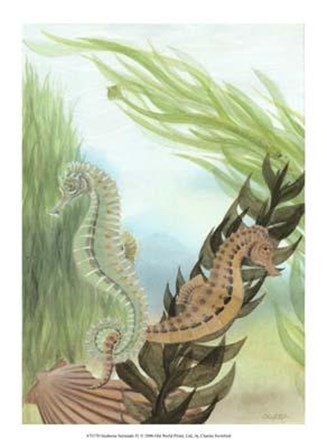 Seahorse Serenade IV by Charles Swinford art print
