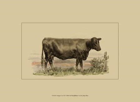 Antique Cow II by Julian Bien art print