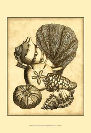 Neutral Shell Coral Collection I art print