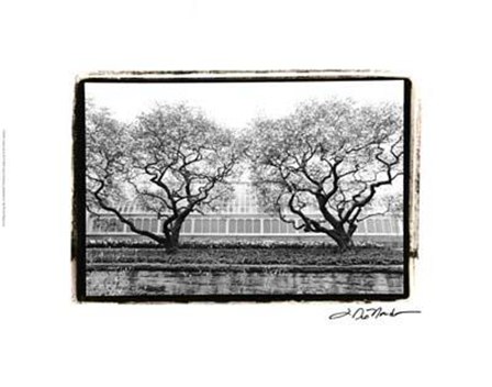 Conservatory II by Laura Denardo art print