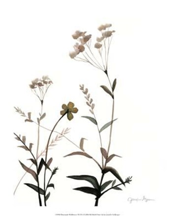 Watermark Wildflowers VII by Jennifer Goldberger art print
