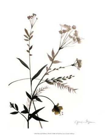 Watermark Wildflowers VIII by Jennifer Goldberger art print