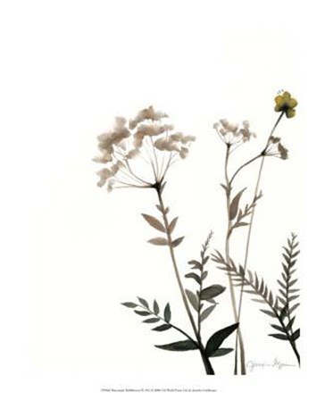 Watermark Wildflowers IX by Jennifer Goldberger art print