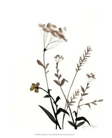Watermark Wildflowers X by Jennifer Goldberger art print