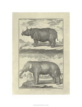 Elephant Rhino by Denis Diderot art print