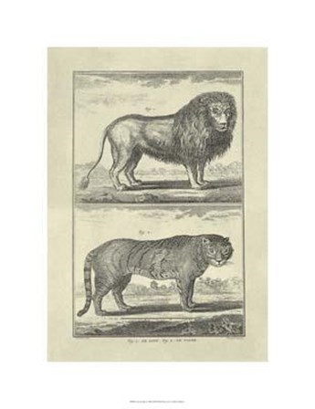 Lion Tiger by Denis Diderot art print