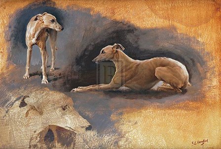 Whippets Study by Susan Crawford art print