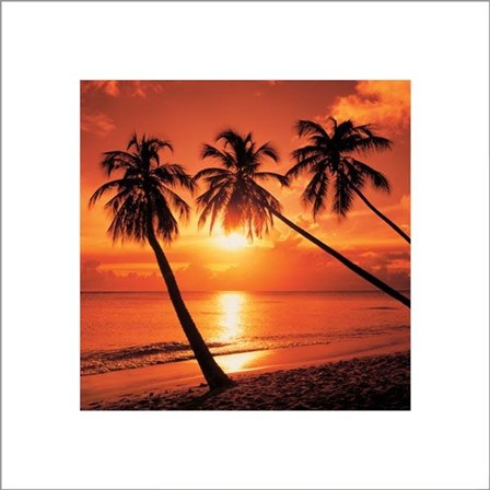 Tropical Sunset by Bob Thomas art print