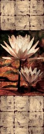 Waterlily Panel II art print