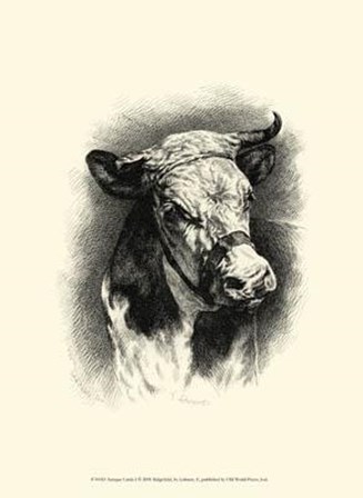 Antique Cattle I by F Lehnert art print