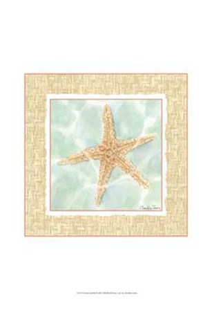 Ocean Starfish by Chariklia Zarris art print