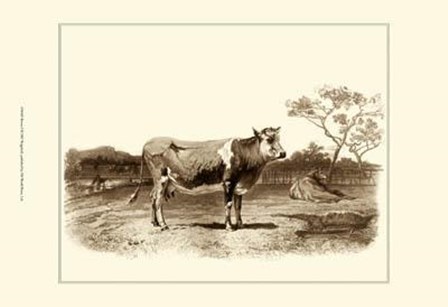 Bovine I by Emile Van marck art print