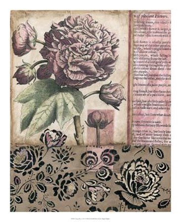 Cottage Rose I by Megan Meagher art print