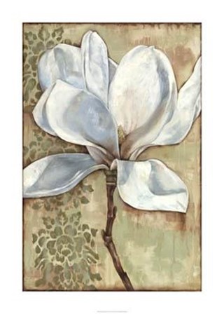 Magnolia Majesty I by Jennifer Goldberger art print