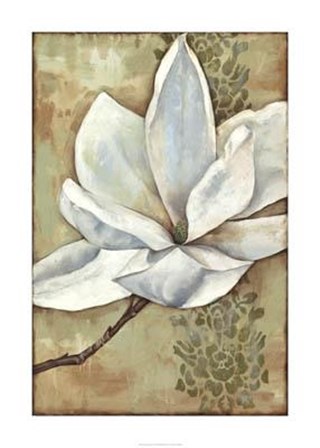 Magnolia Majesty II by Jennifer Goldberger art print