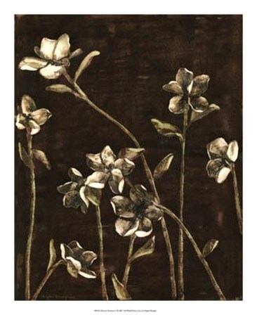 Blossom Nocturne I by Megan Meagher art print