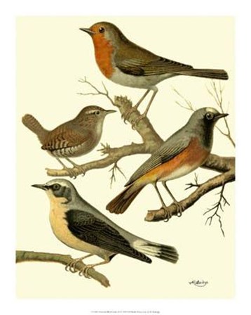 Domestic Bird Family III by W. Rutledge art print