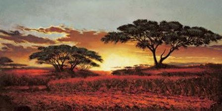 Memories Of Serengeti by Madou Madou art print