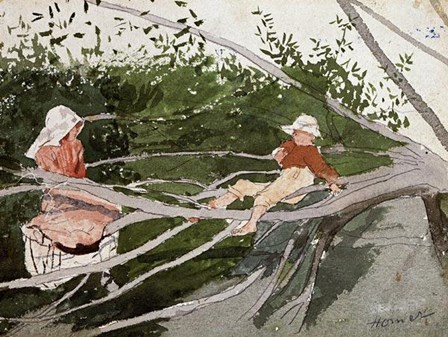 Out On A Limb by Winslow Homer art print