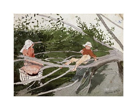 Out On A Limb by Winslow Homer art print