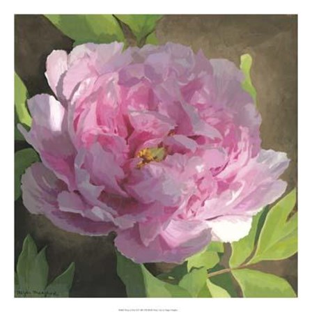Peony In Pink II by Megan Meagher art print