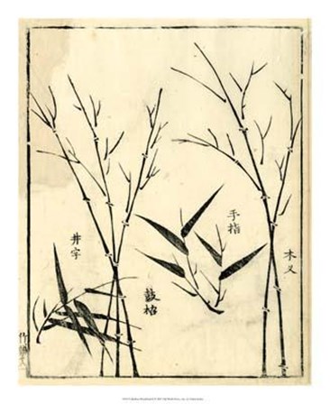 Bamboo Woodblock II art print