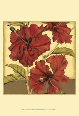 Cropped Sophisticated Hibiscus I by Jennifer Goldberger art print