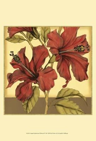 Cropped Sophisticated Hibiscus II by Jennifer Goldberger art print