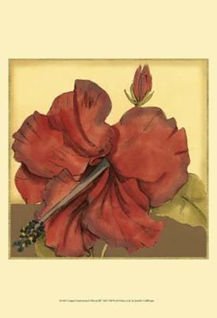 Cropped Sophisticated Hibiscus III by Jennifer Goldberger art print