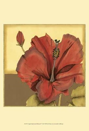 Cropped Sophisticated Hibiscus IV by Jennifer Goldberger art print