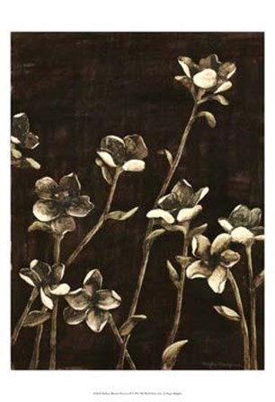 Medium Blossom Nocturne II by Megan Meagher art print