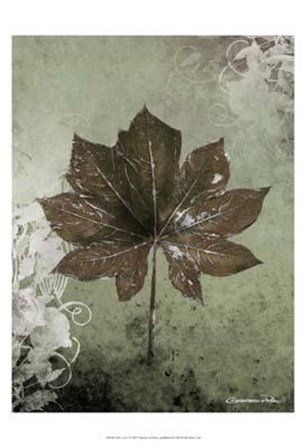 Dry Leaf I by Patricia Pinto art print