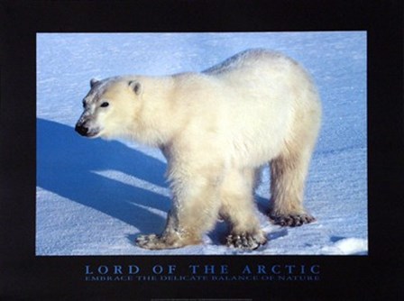 Lord Of The Arctic art print