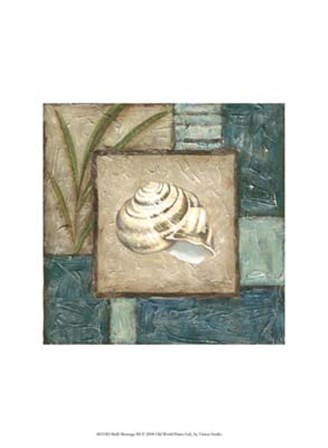 Shell Montage III by Vision Studio art print