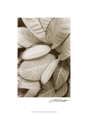 Garden Textures II by Laura Denardo art print