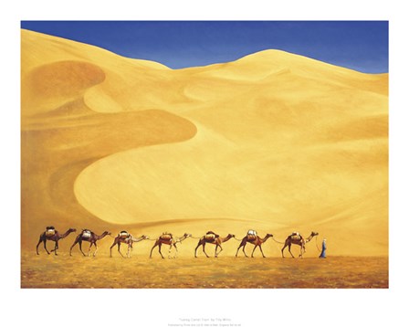 Tuareg Camel Train by Tilly Willis art print