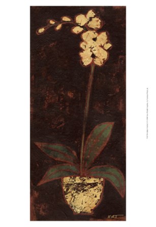 Gilded Orchid II by Norman Wyatt Jr. art print