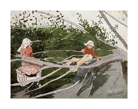 Out on a Limb by Winslow Homer art print