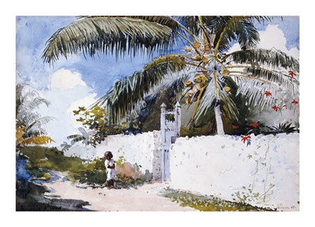 A Garden In Nassau by Winslow Homer art print