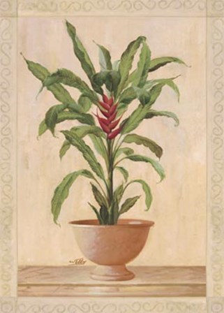 Potted Palm II by Welby art print