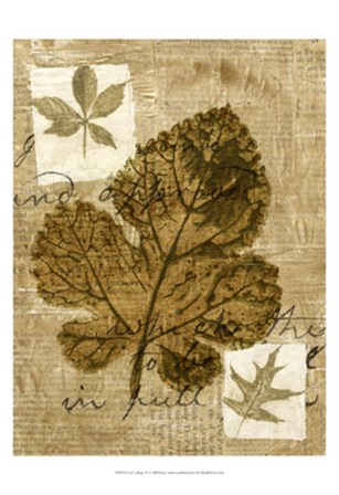 Leaf Collage IV by Kate Archie art print