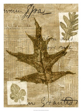 Leaf Collage II by Kate Archie art print