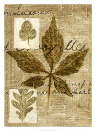 Leaf Collage III by Kate Archie art print