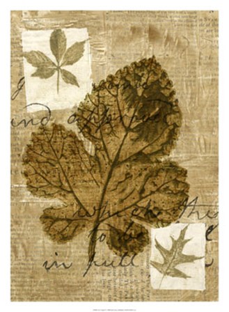 Leaf Collage IV by Kate Archie art print